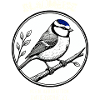 Blaumeise – Kleiner Vogel, großer Charakter
