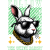 FOLLOW THE WHITE RABBIT