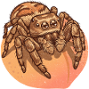 Spinne reitet Pfirsich