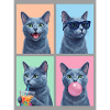 Katzen Russisch Blau Katze