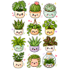 Kawaii Zimmerpflanzen | Urban Jungle