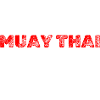 Muay Thai Shirt