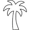 Palme - endloser Sommer