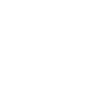 Palme - endloser Sommer