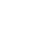Steinmetz