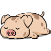 Hellbraunes Schwein mit Braunen Flecken