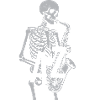 Skelett-Jazz-Saxophonist