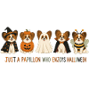Papillon Halloween-Crew