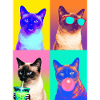 Katzen Siam Katze