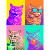 Katzen Selkirk Rex Katze