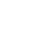King of Logistics