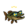 Angeltour Schweden 2027