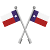 Texas-Flagge