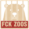 FCK Zoos Eisbär
