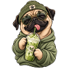 Süßer Mops mit Matcha Latte