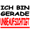 Unbeaufsichtigt