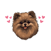 Schlafshirt Spitz Haare