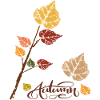 Herbstlaub 