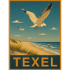 Texel Möwe