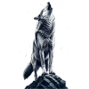 Wolfsruf auf Fels