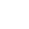 Kipplaster Fahrer Evolution