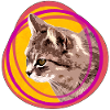 Katzengesicht im Psychedelic-Ring