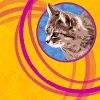 Katzengesicht Pop Art Kreis