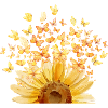 Blüten der Freiheit 