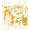 Mein Weimaraner kennt keine Distanz