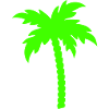 Palme Silhouette 