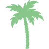 Palme Silhouette 