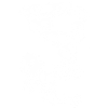 Skulls (White Outlines)
