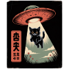 UFO Katze
