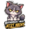 Grummelkat JetztNicht Beeindruckt