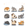  Lustige Yoga-positionen Für Katzen,