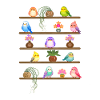 Die Blumen und die Vögel