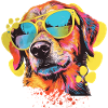 COOL DOG