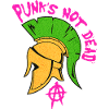 PUNKS NOT DEAD 