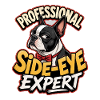 Boston Terrier