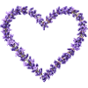 Lavendelherz aus violetten Blüten