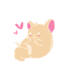 Chinchilla