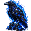 Schwarzer Rabe mit blauer Aura