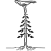 Fahrradsattel Line Art
