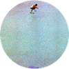 Skater