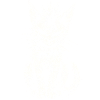 PunkRock, Katze, Punk Rocker Musik