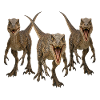 Velociraptor