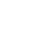 Die Einstellung ist alles: Brain Lightning