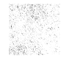 Built From Chaos Graffiti Shirt