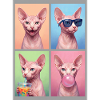 Katzen Sphynx Katze