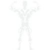  Rückenprint: Bodybuilder-Trainings,